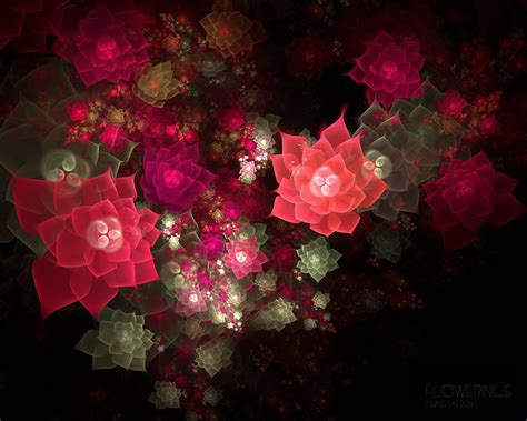 Papel De Parede Flores Espaço Vermelho Textura Rosa Magenta