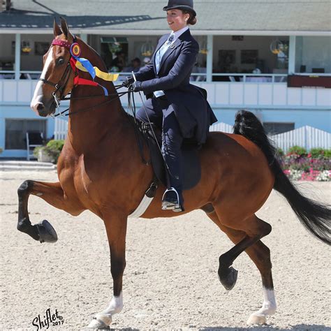 emmaus teen rides  surreal victory  devon horse show  morning call