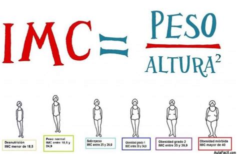 Como Se Calcula El Indice De Masa Muscular Actualizado Abril