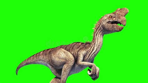 Oviraptor Dinosaurs Run Cycle Front Green Screen Jurassic World 3d