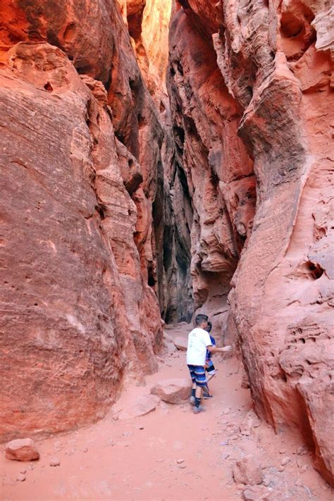 It starts with a switchback and heads into the canyon in the cool shaded forest. Jenny's Canyon: The Easiest Slot Canyon Hike in Utah ...