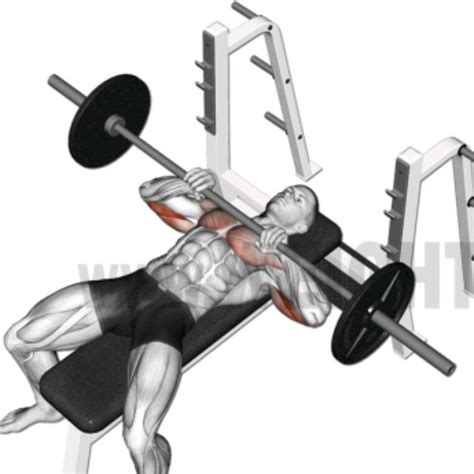 Close Grip Barbell Bench Press By Gaurav Kumar Exercise How To Skimble