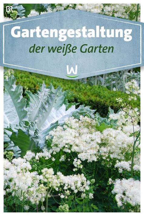 Stauden, einjährige, zweijährige, bäume und sträucher. Gartengestaltung - Der weiße Garten #schönegärten Nicht ...