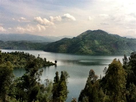 Magma detected beneath city and adjoining lake kivu, says military governor. Gazania Daybreak