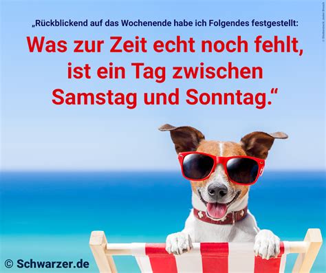 Maybe you would like to learn more about one of these? 20 lustige Bilder mit Sprüchen zum Wochenende