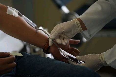 موظفو الأمم المتحدة في مصر يتبرعون بالدم للتوعية بأهمية التبرع صور بوابة الأهرام