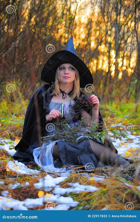 Witch In The Forest Stock Photo Image Of Fantastic Boiling 22917832