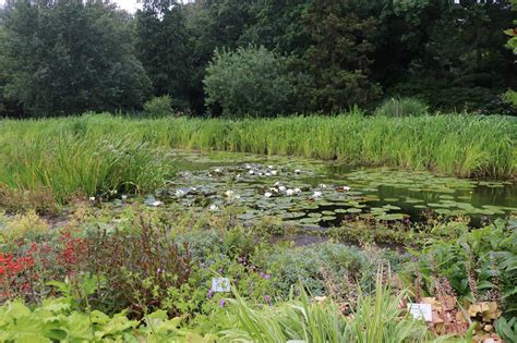 54°20'52.5n 10°06'51.4e (54.347915, 10.114284) link zu google maps. Puutarhavierailulla: Botanischer Garten, Kiel, Saksa, osa ...