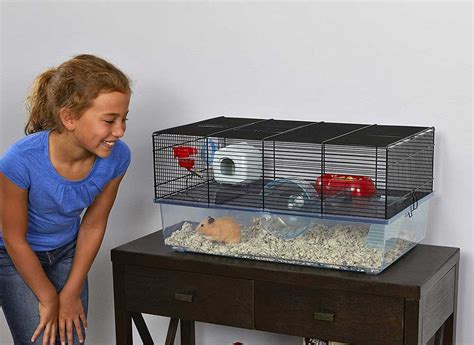 How Often Should You Clean A Hamsters Cage Atractivopets