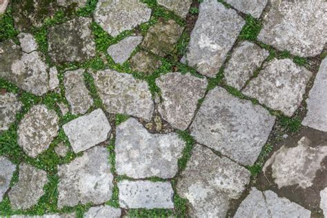 Cobblestone With Grass Texture Stock Photo Image Of Grunge Material