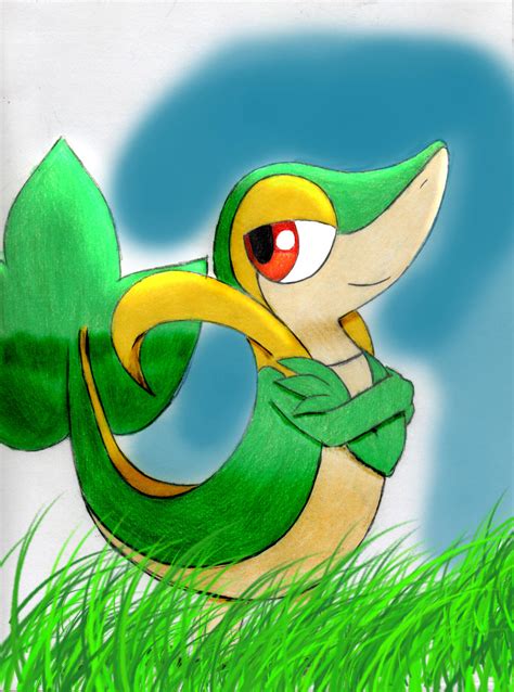 Snivy By Tracing The Skye On Deviantart