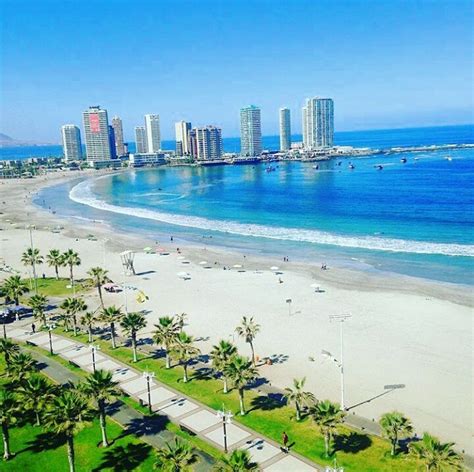 Walk around downtown iquique and let yourself be transported to a time where ladies wore taffeta and used parasols, and men handlebar. Caribe Iquiqueño 🌺 en Instagram: "Si realmente eres como ...