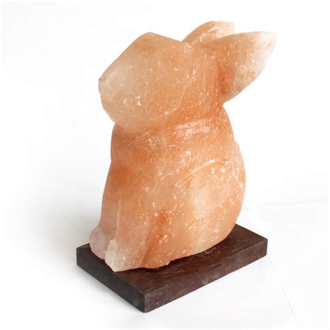 I see constant advertising for salt lamps. Animal salt lamps - Rabbit - Ancient Wisdom - Wholesale ...