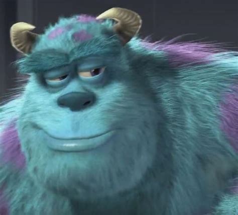 The best sully memes and images of november 2020. 30 minutes into Scaring & Chill until he gives you the ...