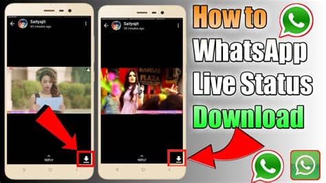 Well, it's good enough if compared to official. How to Live WhatsApp status download | without app | in ...