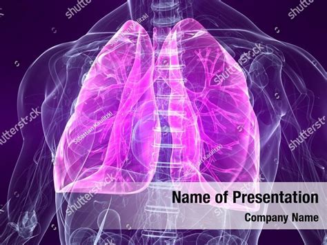 Are Human Lungs Powerpoint Template Are Human Lungs Powerpoint Background