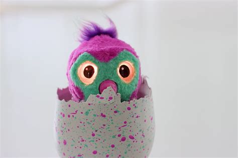 5 Things You Need To Know About 2016s Must Have Toy Hatchimals