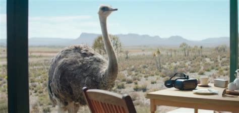 ‘ostrich Samsung Electronics Galaxy Brand Commercial Wins