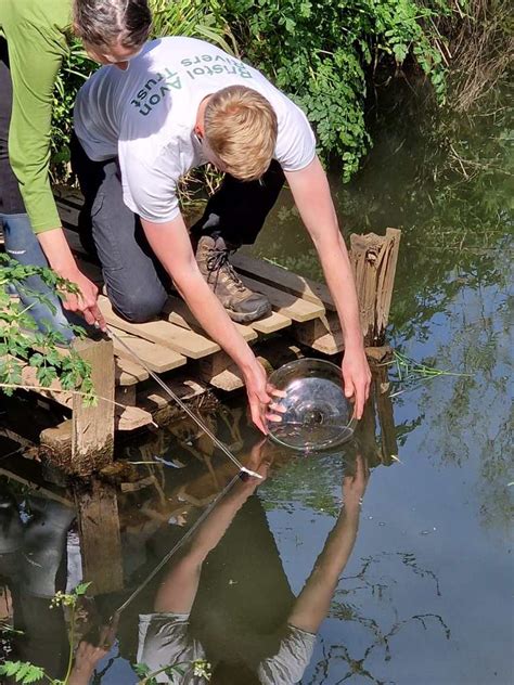 Thousands Of Eels Get A Helping Hand With Their Migration In The Bristol Avon Catchment