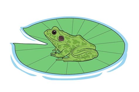 Premium Vector Frog Vector On Water Lily