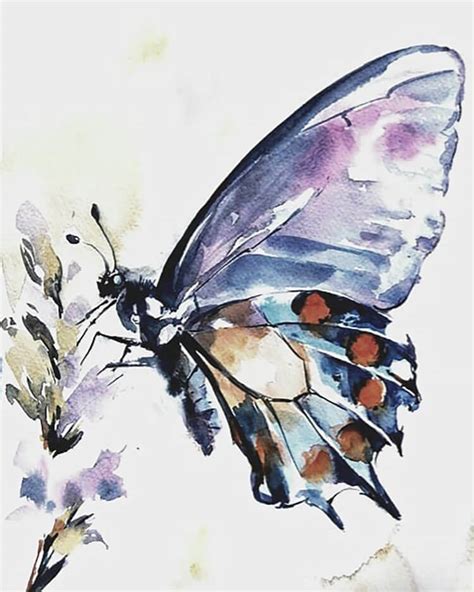 25 Beautiful Watercolor Butterfly Painting Ideas Beautiful Dawn Designs