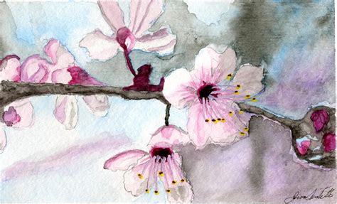 Cherry Blossom Watercolor By Jimscard On Deviantart