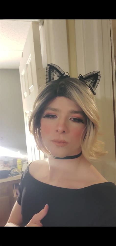 Sissy cat 🖤 | Scrolller