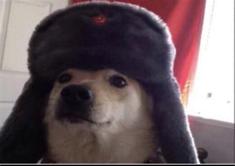 The Soviet Doggo Would Like To Greet You Raww