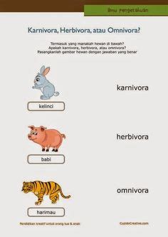 Sebutkan 20 contoh soal untuk anak tk! Soal Bahasa Inggris Bergambar Untuk Anak Tk - BangSoal