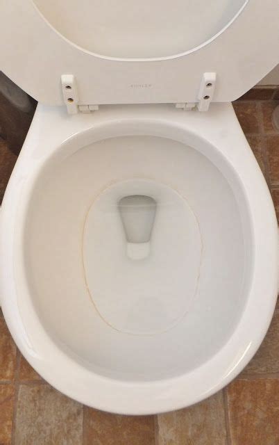 Kill 99.9% of germs, then toss the disposable head and germs with it! How to get rid of toilet rings! Great Cleaning Tip ...