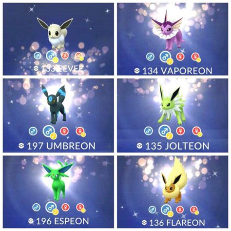 Now, let's cover those evolution groups i mentioned. Pokemon Go Community Day: How to get Shiny Eevee ...