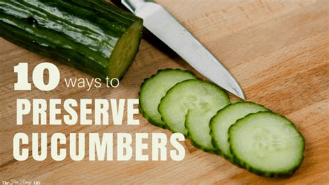 Hello, my cucumber plants were looking great. 10 Delicious Ways to Preserve Cucumbers That Every Home ...