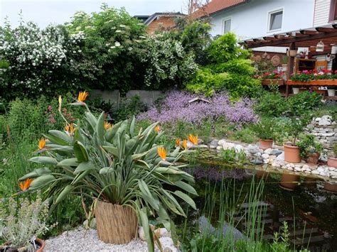 Check spelling or type a new query. GARTENHANS - Gartenfotos - Bilder über das Leben im Garten