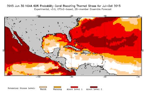15000 Sq Km Of Coral Reef Could Be Lost In Current Mass Bleaching Say