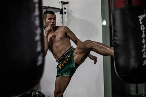 the complete guide to the muay thai push kick evolve university