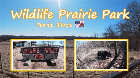 Wildlife Prairie Park Peoria Il Youtube