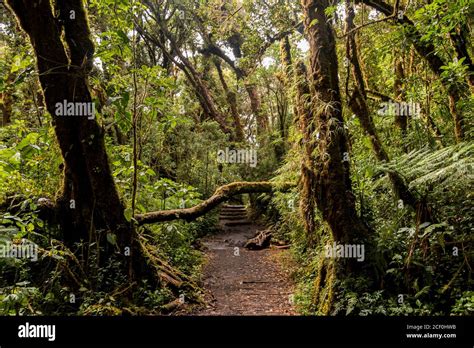 Barva Volcano Trails National Park Tourist Attraction In The Province