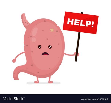 Sad Unhealthy Sick Stomach With Nameplate Vector Image