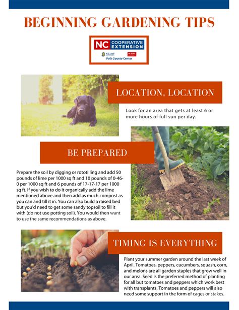 Beginning Gardening Tips For Polk County Gardeners Nc Cooperative Extension