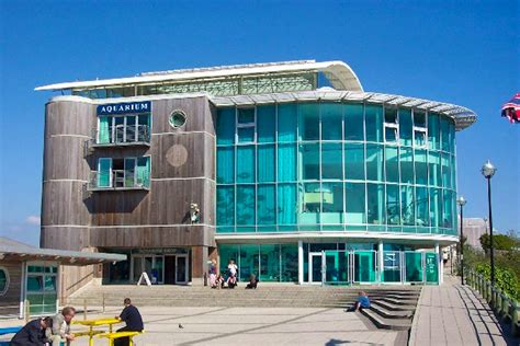 Travel Inspired Location National Marine Aquarium In Plymouth