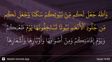 Σf = jumlah kemunculan kata (berdasarkan huruf arab gundul). Surah Al Isra Ayat 80 - Extra