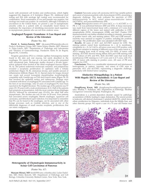 Pdf Esophageal Pyogenic Granuloma A Case Report And Review Of The