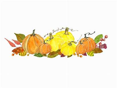 Fall Watercolor Autumn Clipart Border Pumkin Illustrations