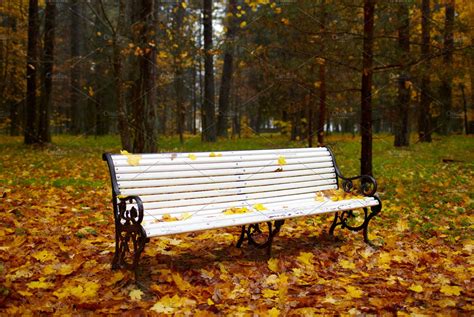 Bench In The Autumn Park High Quality Nature Stock Photos ~ Creative