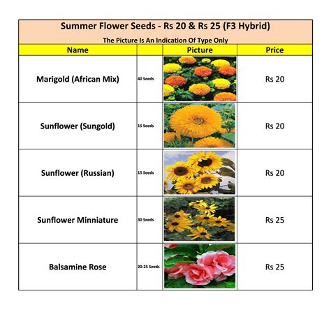 Summer Flower Seeds Bulbs List — Kitchen Home Gardener