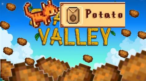 Stardew Valley Joja Route The One Where Dash Blows Up The Farm