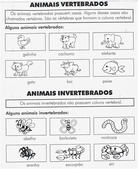 animais vertebrados e invertebrados 3o ano mobile legends