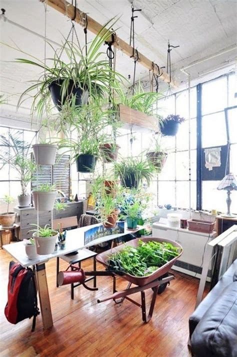 10 Inspirational Indoor Plant Display And Decoration Ideas Indoor