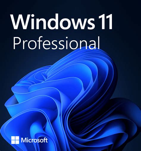 Windows 11 Professional Oemretail
