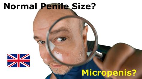 Normal penile size girth and micropenis urologist Göttingen YouTube
